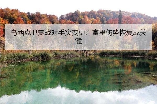 乌西克卫冕战对手突变更？富里伤势恢复成关键