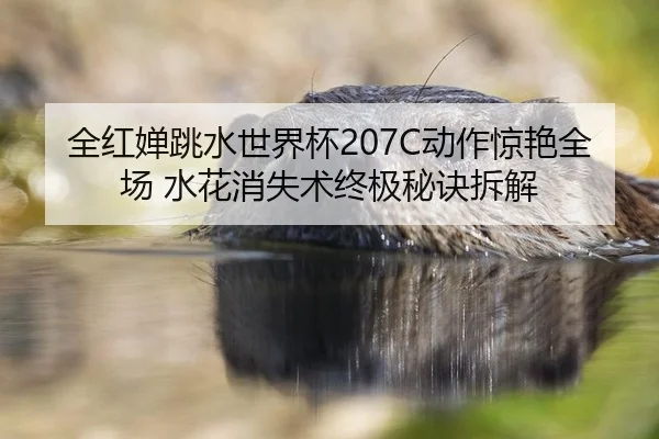 quan-hong-chan-tiao-shui-shi-jie-bei-dong-zuo-jing-yan-quan-chang-shui-hua-xiao-shi-shu-zhong-ji-mi-jue-chai-jie-2-628.jpg