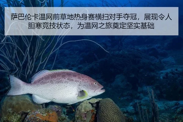 萨巴伦卡温网前草地热身赛横扫对手夺冠，展现令人胆寒竞技状态，为温网之旅奠定坚实基础